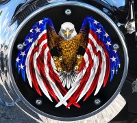 Custom Derby Cover - Striking Eagle Custom Derby Cover - Striking Eagle