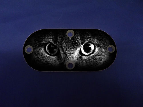 Custom Oval Inspection Cover - Cat Eyes