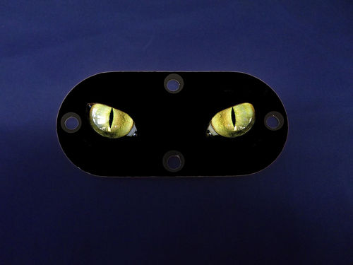 Custom Oval Inspection Cover - Black Cat Eyes